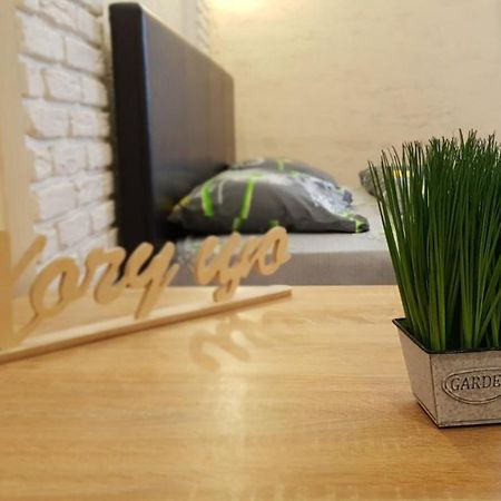 New Luxury Studio Apartment Ivano-Frankivsk Eksteriør bilde